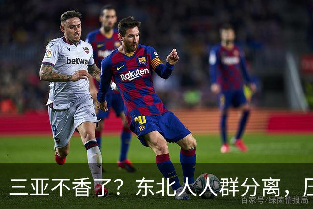 三亚不香了？东北人人群分离，压垮他们的不是物价，而是生活现实