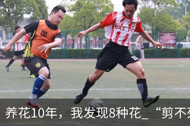 养花10年，我发现8种花 “剪不死”反而会越长越旺，比施肥都管用