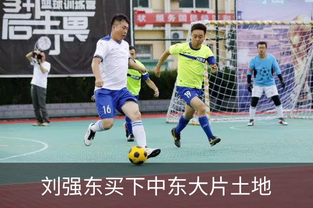 刘强东买下中东大片土地