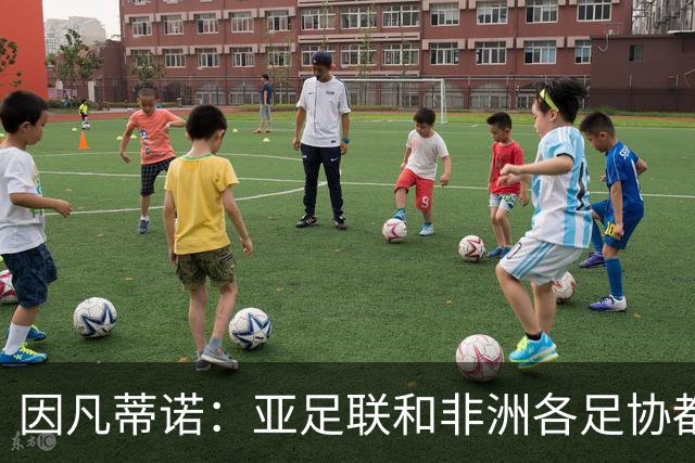 因凡蒂诺：亚足联和非洲各足协都支持我；我尊重所有意见