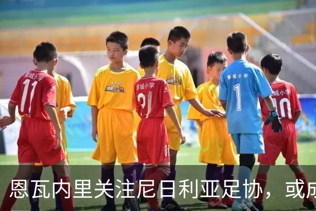 恩瓦内里关注尼日利亚足协，或成下一个伊沃比