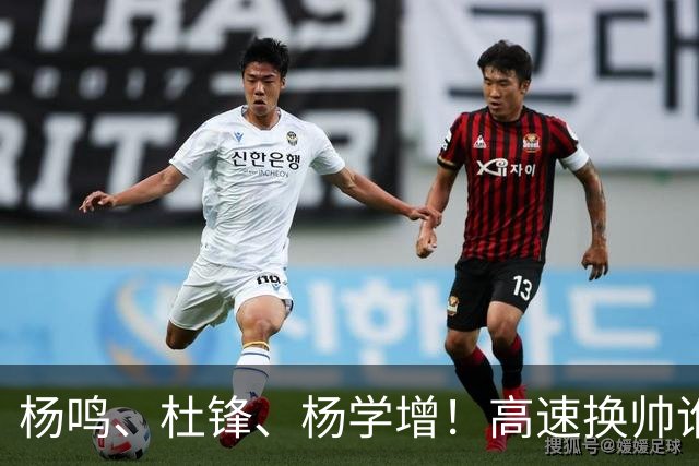杨鸣、杜锋、杨学增！高速换帅谁能行？两条路必选其一