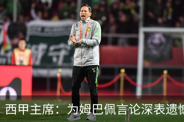 西甲主席：为姆巴佩言论深表遗憾，我代表西甲向中国人民致歉