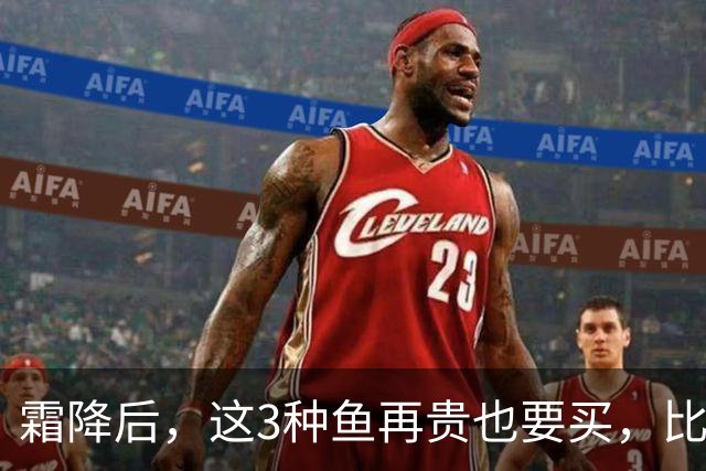 霜降后，这3种鱼再贵也要买，比鲫鱼鲜，比带鱼有营养，要多吃