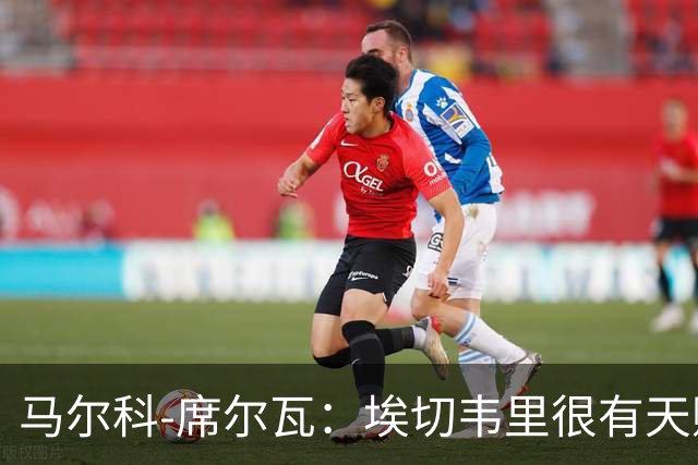 马尔科-席尔瓦：埃切韦里很有天赋，是否买断不必急于决定