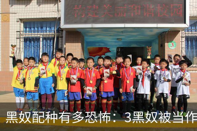 黑奴配种有多恐怖：3黑奴被当作配种工具，子女无数。